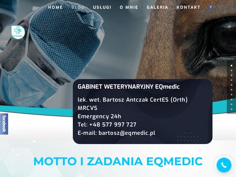 Leczenie koni | https://eqmedic.pl/