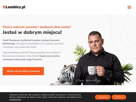 Blog i usługi marketingowe Lembicz.pl