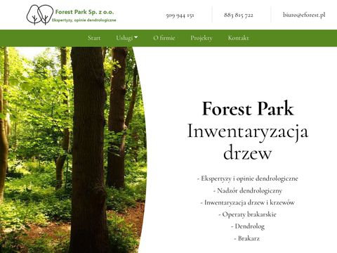 Usługi Leśne FOREST