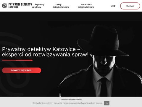 Detektyw katowice - prywatny-detektyw-katowice.pl