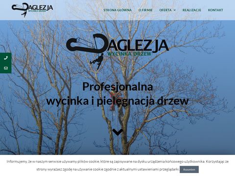 Wycinka drzew Nowy Sącz - daglezja-wycinkadrzew.pl