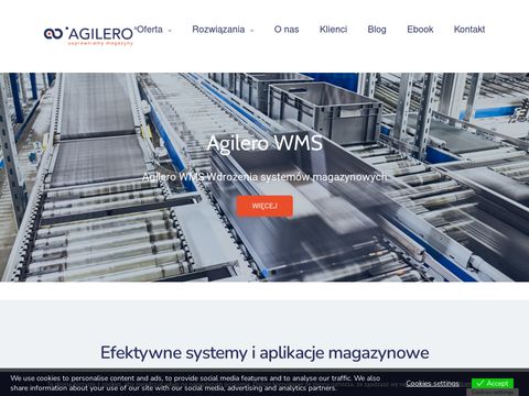 System WMS - Agilero