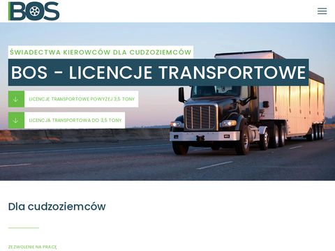 Licencje Transportowe BOS