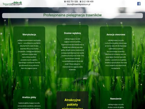 Zakładanie i pielęgnacja trawników - Małopolska