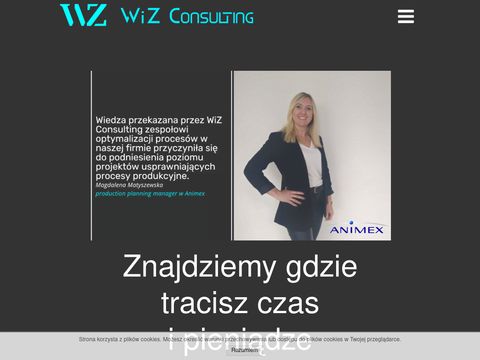 Consulting biznesowy - wiz-consulting.pl