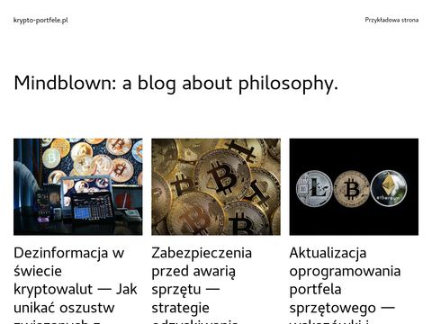 Krypto-portfele.pl - portal omawiający bezpieczne przechowywanie kryptowalut
