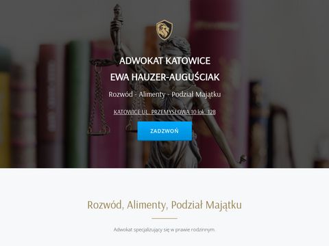 adwokat Hauzer - adwokat Katowice