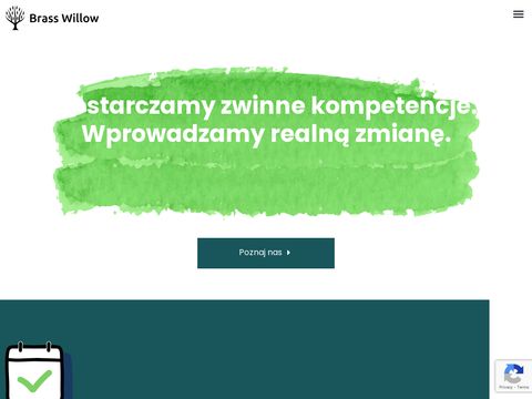 Szkolenia Agile - brasswillow.pl
