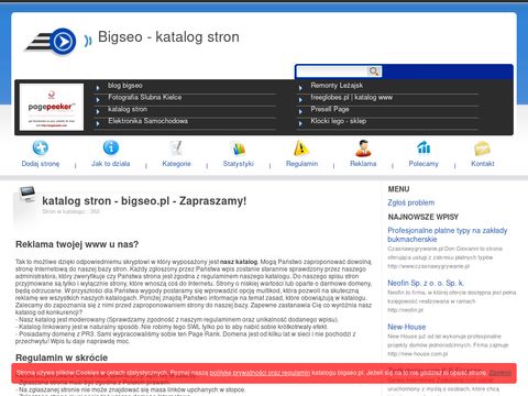 Bigseo.pl - katalog www