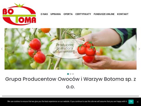 www.botoma.com.pl