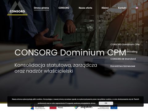 Controlling - CONSORG