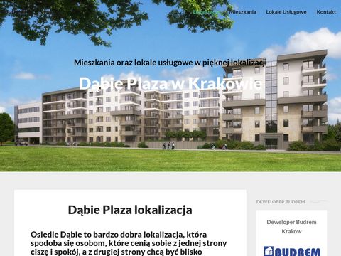 Blog Dabieplaza.pl