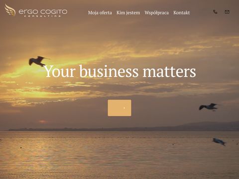 Ergo Cogito Consulting nazwy dla firmy