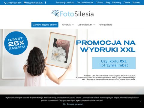 fotosilesia.pl - fotograf katowice