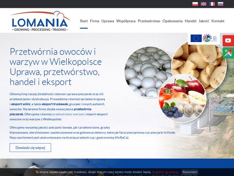 LOMANIA Polsko-Francuska Sp. z o.o. champignons de paris