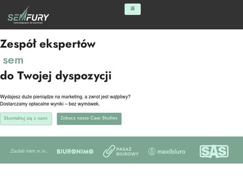Pozycjonowanie Wordpress - Semfury.com