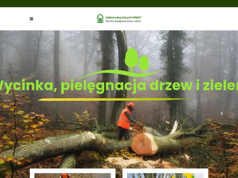 Zakład usług leśnych Forest