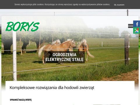 www.pwborys.pl