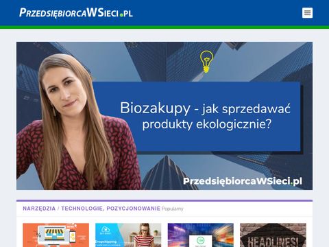 Seo - przedsiebiorcawsieci.pl